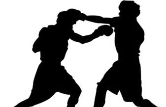 Academia Wt Combat - Foto 1