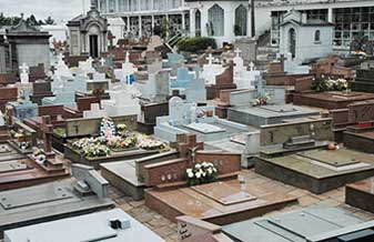 Cemitério Jardim - Foto 1