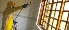 dedetizadora-em-botucatu-1439473502