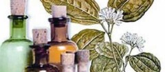 farmacias-de-homeopatia-em-botucatu-1439398401
