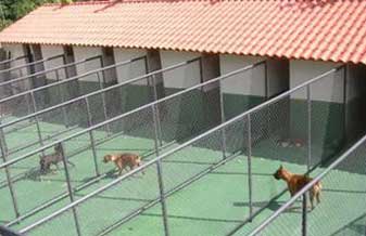 Hotel Canino Vale Dos Bons Ares - Foto 1