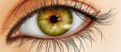 iridologia-em-botucatu-1439399677