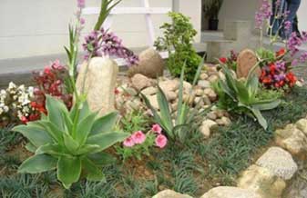 Almeida Jardinagem - Foto 1