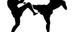 kickboxing-em-botucatu-1439315232