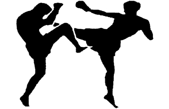 Academia Equipe Iron - Foto 1
