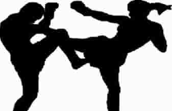 Muay Thai Bear Team - Foto 1