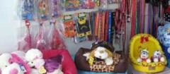 petshop-em-botucatu-1438981204