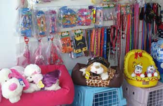 Pet Show - Foto 1