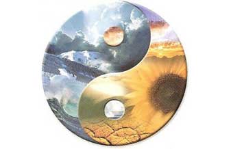 Terapeuta – Paulo Thiago Moura - Foto 1