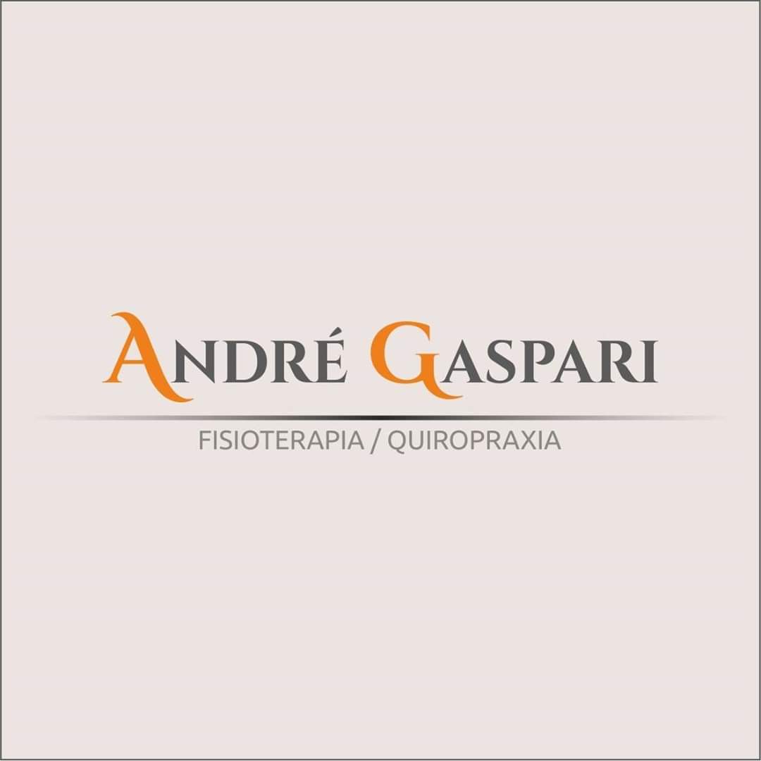 André Gaspari - Foto 1