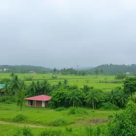 pancadas de chuva