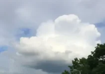 Botucatu deve ter um dia de céu nublado nesta sexta-feira