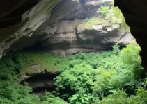 cavernas de Botucatu