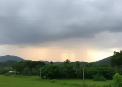 Últimas noticias de Botucatu