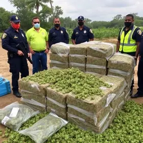 mega apreensão de maconha