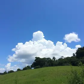 previsão do tempo em Botucatu