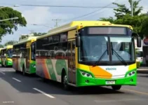 ônibus elétricos