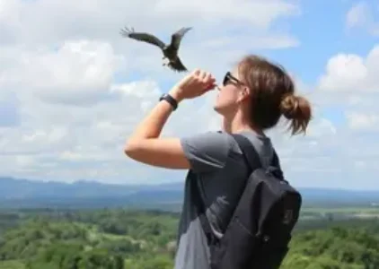 Últimas noticias de Botucatu