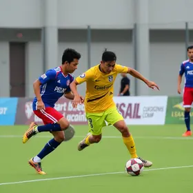 Botucatu Futsal