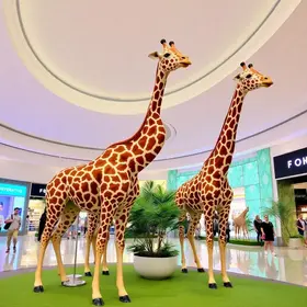 Giraffas em Botucatu