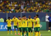 jogo da Seleção Brasileira