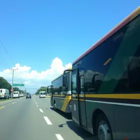 ônibus