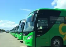 ônibus novos da JTP
