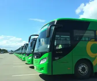 ônibus novos da JTP