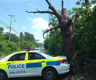 policial civil bate viatura