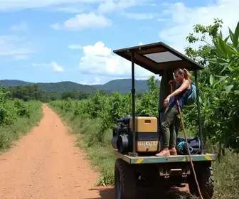 proteção às mulheres