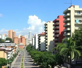 revisão do Plano Diretor
