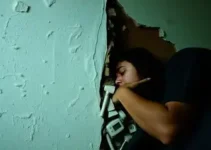 motorista dorme ao volante